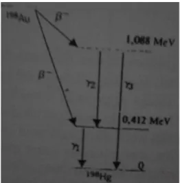Gambar 2.6 Beberapa sinar gamma yang dipancarkan menyusul peluruhan beta  Gambar  2.6  menunjukkan  suatu  diagram  tingkat  energi  yang  khas  dari  keadaan eksitasi  inti  dan beberapa transisi  sinar  gamma  yang dapat  dipancarkan