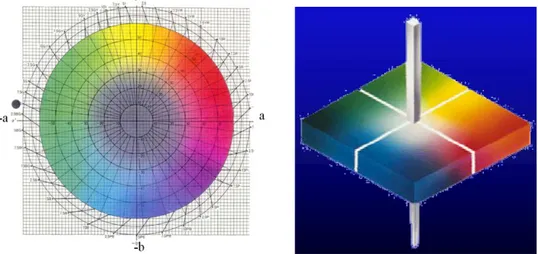 Gambar  1.  Diagram  yang  menggambarkan  ruang  warna  (Color  Space)  pada CIELab Color Model 