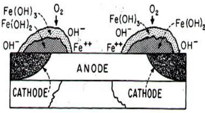 Gambar 2.1 Skema sel korosi basah sederhana   Kemudian  reaksi  katodik  dan  anodik  pada  proses korosi besi dapat ditulis sebagai berikut [5]:  
