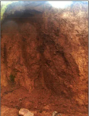 Gambar 18 Kenampakan profil tanah yang terbentuk dari batuan piroklastik. Tebal solum tanah berkisar  1-1,5 meter.