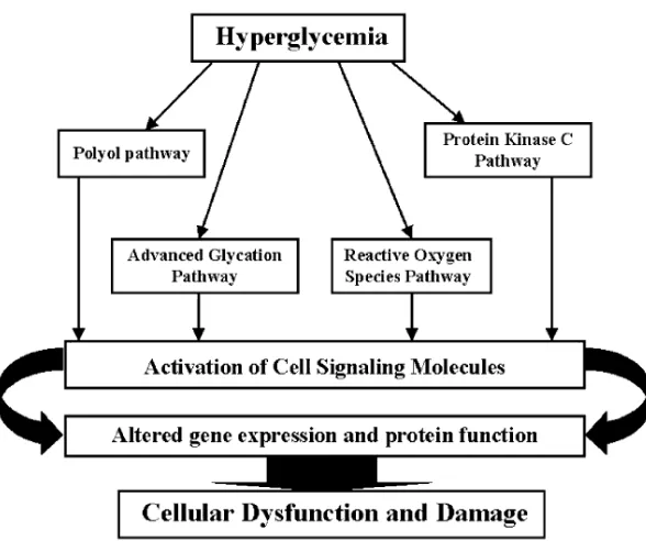 Gambar 2.1. Mekanisme hiperglikemia menyebabkan kerusakan sel1 