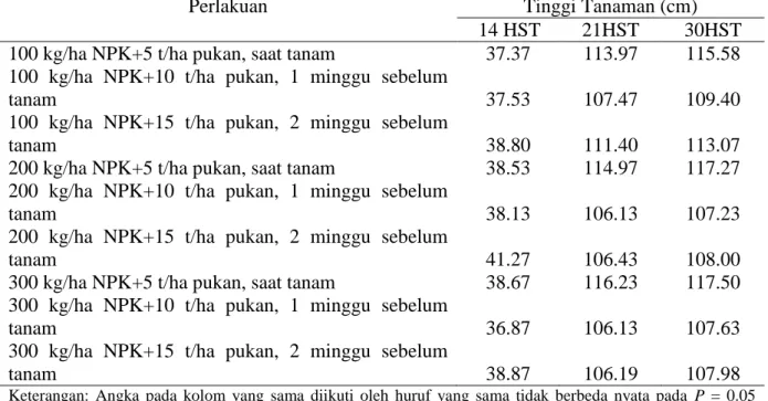 Tabel  1.  Data  tinggi  tanaman  jagung  manis  14,  21  dan  30HST  dengan  pemberian  pupuk  berimbang organik dan anorganik  