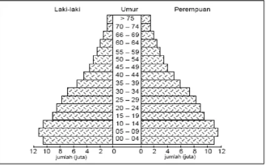 Gambar 2. Piramida Penduduk Indonesia Tahun 1992 