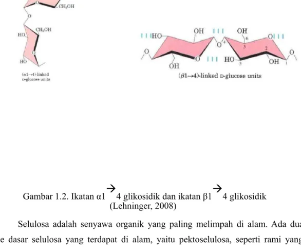 Gambar 1.2. Ikatan α1 à