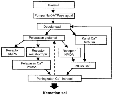 Diagram kaskade eksitatorik iskemik 