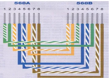 Gambar 10. Kabel koneksi straight-trough 