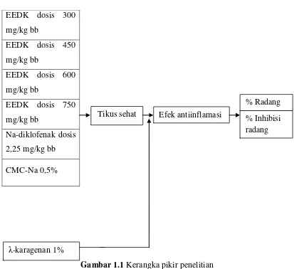 Gambar 1.1 Kerangka pikir penelitian