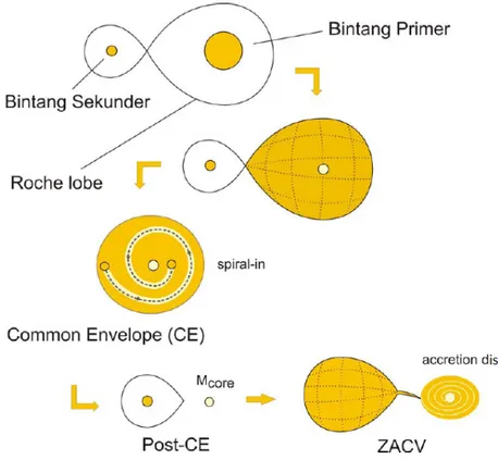 Gambar III.3: Skema pembentukan ZACV dimulai dari bintang primer yang memenuhi roche lobe diikuti dengan proses transfer massa ke bintang sekunder