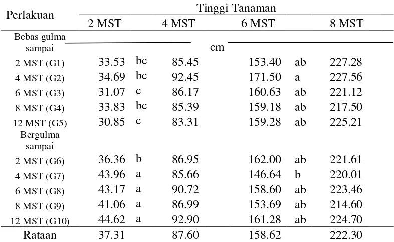 Tabel 3. Tinggi tanaman pada berbagai perlakuan waktu bebas gulma pada pengamatan 2, 4, 6 dan 8 MST  