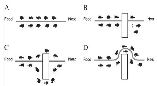 Gambar 1. Ilustrasi cara kerja koloni semut