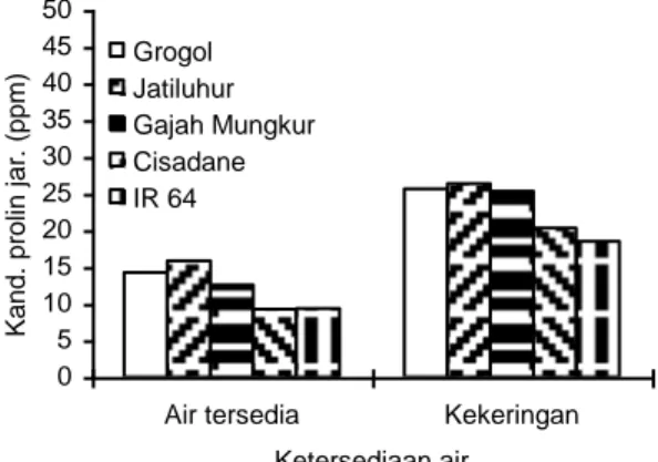 Gambar 1. Tanggap akumulasi prolin lima varietas padi gogo terhadap cekaman kekeringan  