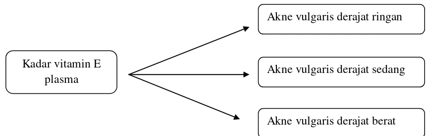 Gambar 2.3 Diagram kerangka konsep penelitian 