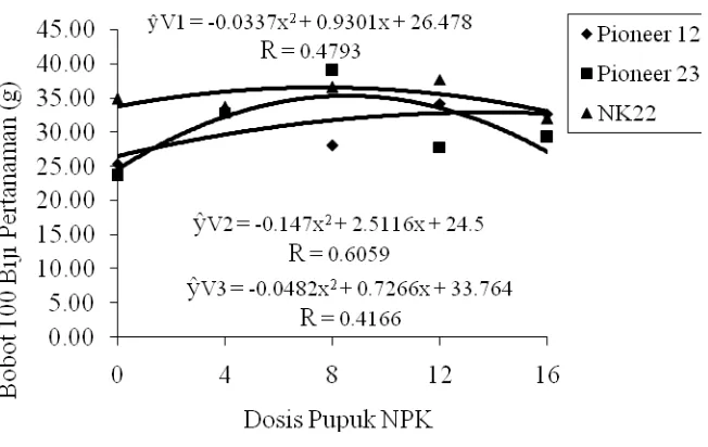 Gambar 8. Hubungan antara varietas dengan dosis pemberian pupuk NPK  pada parameter Bobot 100 biji pertanaman