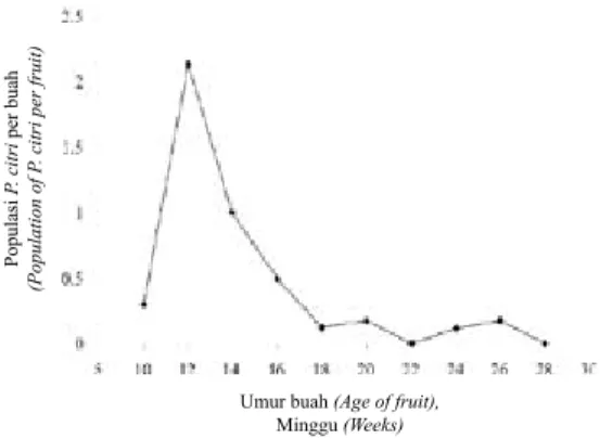 Gambar 5.  Fluktuasi  kandungan  senyawa  limonen  dan linalool pada  kulit  buah  jeruk  besar  Nambangan  umur 10- 28 minggu (Fluctuation  of limonene and linalool content in  peel of Nambangan pummelo fruit  at 10-28 weeks old) 