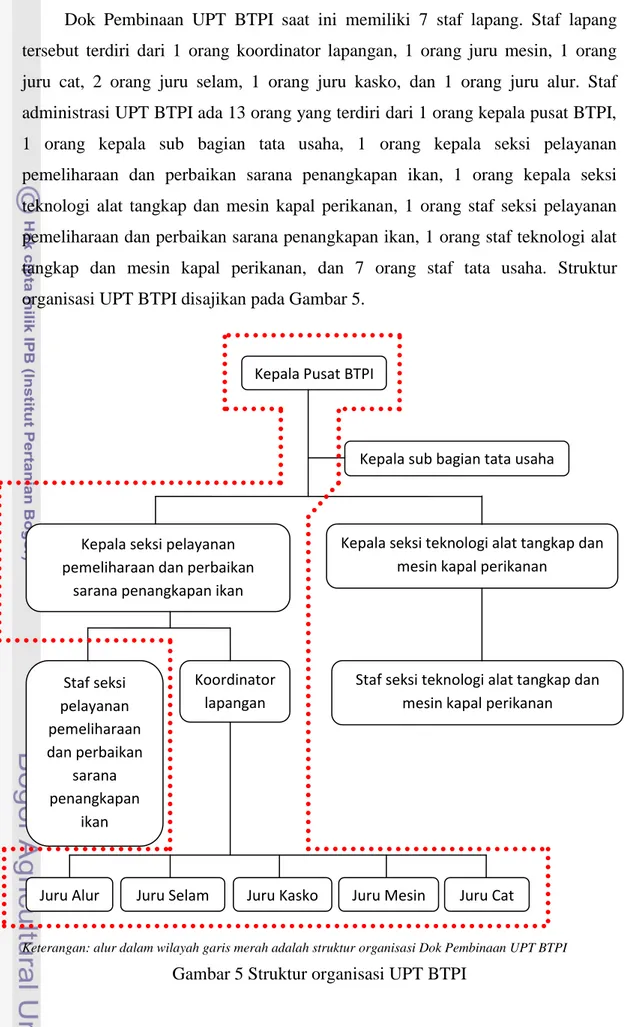 Gambar 5 Struktur organisasi UPT BTPI 