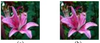 Gambar 1. (a) Citra flower.jpg Sebelum Melalui Proses Transmisi 