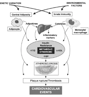 Gambar 2.5. Penyakit kardiovaskular pada sindrom metabolik43 