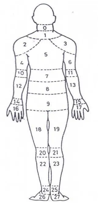 Gambar 2.2. Nordic Body Map  