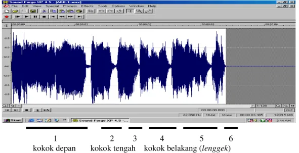 Gambar 1. Pola waveform suara kokok AKB (Rusfidra, 2004) 