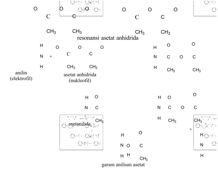 Gambar 2.3 Mekanisme Reaksi Asilasi (Synyster, 2006)