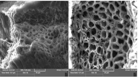 Gambar 3 memperlihatkan perbedaan antara AA sekam padi tanpa aktivasi suhu dan  AA  sekam  padi  dengan  suhu  aktivasi  400  ºC