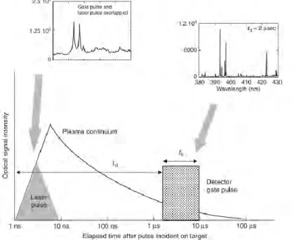 Gambar  2.9  Skematik  Waktu  Deteksi  Plasma  (Cremers  dan  Radziemski 2013) 