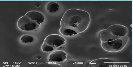 Gambar 4 Profil morfologi nanokapsul minyak kopi dengan perbesaran 5000 X KESIMPULAN 
