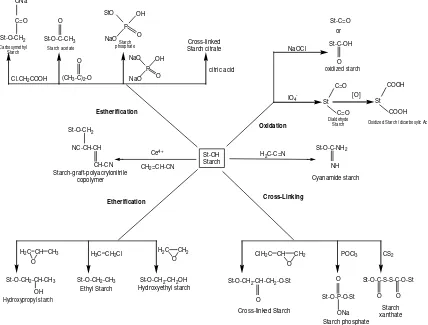 Gambar 2.4 Beberapa metode modifikasi pati secara kimiawi (Neelam, et al. 2012) 