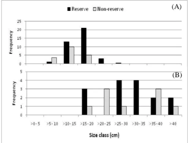 Gambar  2.  Komposisi  spesies  ikan  kerapu  di  daerah  reservasi  dan  non-reservasi