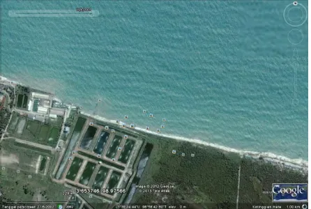 Gambar 4. Lokasi Pantai Sri Mersing (Sumber : Google Earth, 2005)  
