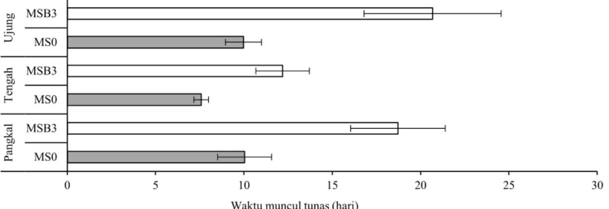 Gambar 1. Waktu muncul tunas ubi kayu genotipe Jame-jame. MS0 = MS tanpa ZPT; MSB3 = MS + 3 mg L -1  BAP