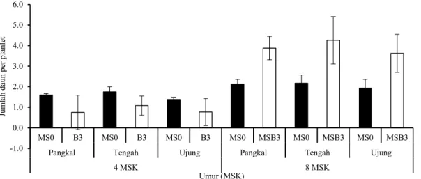 Gambar 2. Jumlah daun tunas ubi kayu genotipe Jame-jame. MS0 = MS tanpa ZPT; MSB3 = MS + 3 mg L -1  BAP