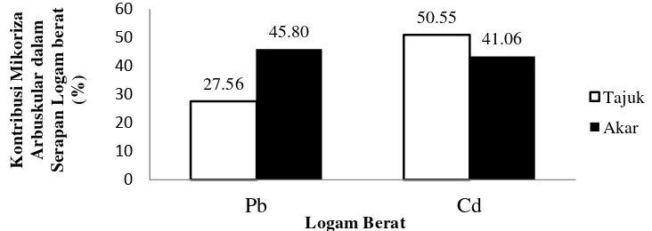 Gambar 1. Persentase peningkatan serapan logam berat Pb dan Cd pada tajuk dan akar tanaman Mucuna pruriens akibat pemberian mikoriza arbuskular  