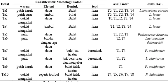 Tabel 7. Karakteristik morfologi koloni BAL 