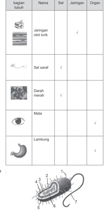 Gambar  bagian 