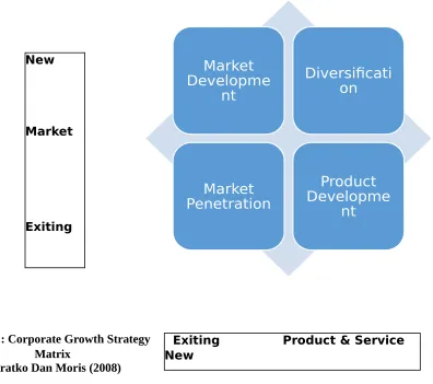 Gambar : Corporate Growth Strategy