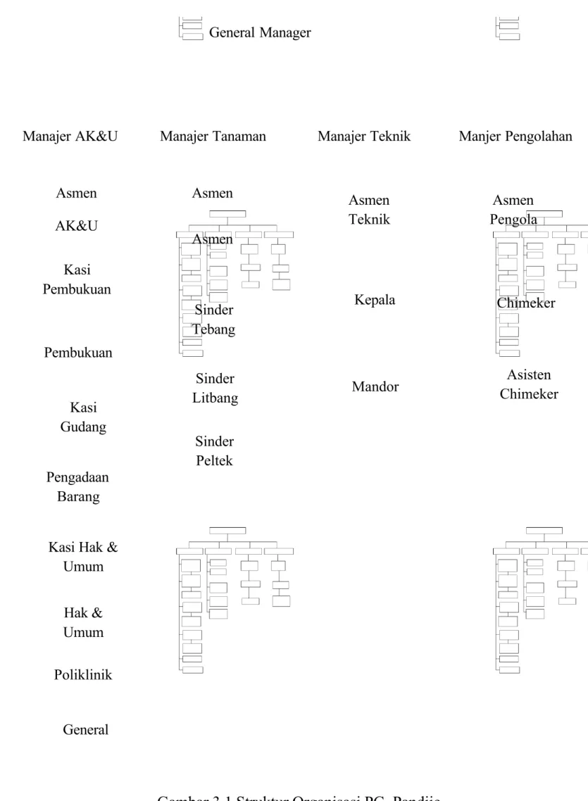 Gambar 3.1 Struktur Organisasi PG. PandjieGeneral Manager