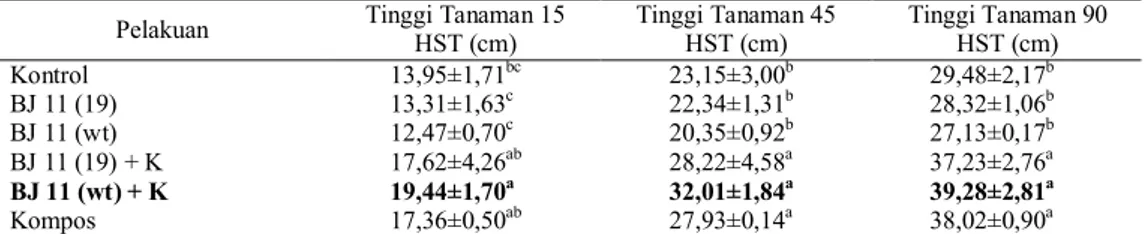 Tabel  2  Respon  pemberian  inokulan  B.  japonicum  toleran  asam  aluminium  terhadap  tinggi              tanaman kedelai varietas Wilis  