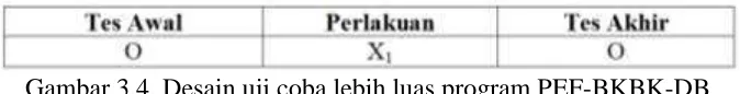 Gambar 3.4. Desain uji coba lebih luas program PEF-BKBK-DB 