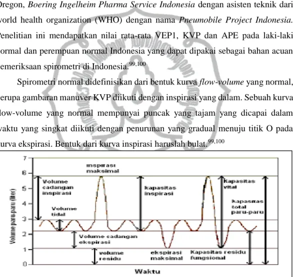 Gambar 6. Volume dan kapasitas paru 