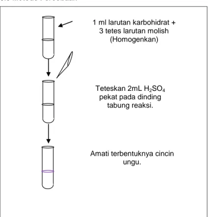Gambar 3. Metode Percobaan Uji Molish  1 ml larutan karbohidrat + 