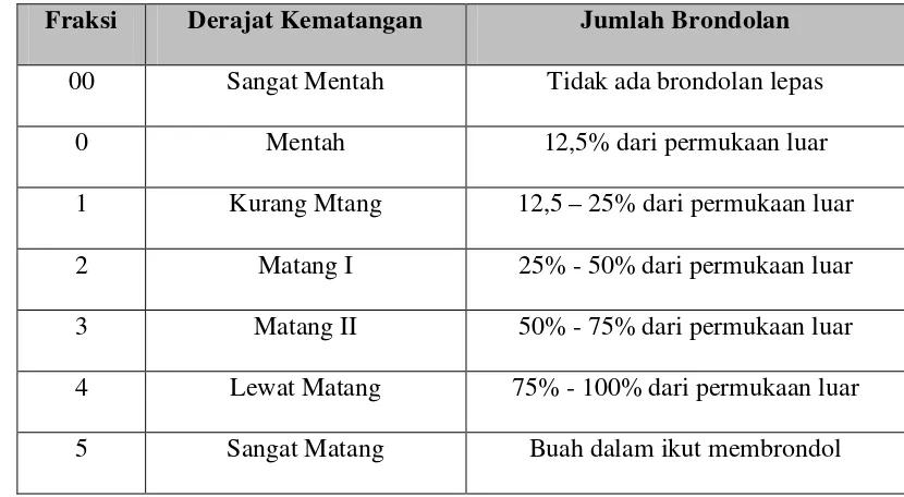 Tabel 2.2 Derajat Kematangan Tandan Buah Sawit (Fraksi TBS) 