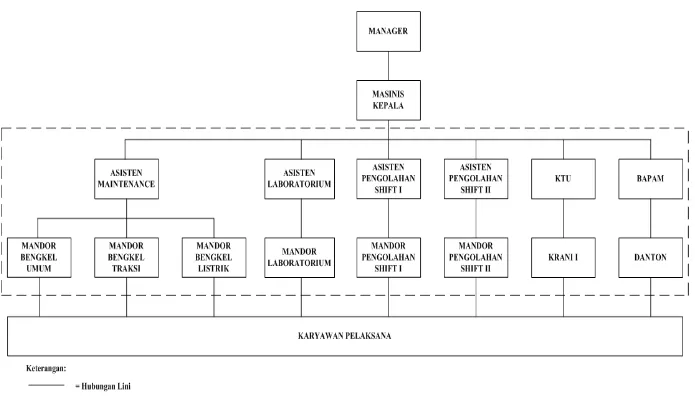 Gambar 2.4 Struktur Organisasi PT. Perkebunan Nusantara II PKS Kebun Pagar Merbau 