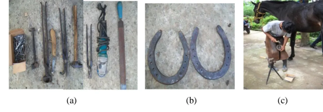 Gambar  5.  Kegiatan  Penapalan  Kuda,  (a)  Alat-alat  penapalan,  (b)  Sepatu  Kuda (Tapal), (c) Pemasangan Tapal Kuda 
