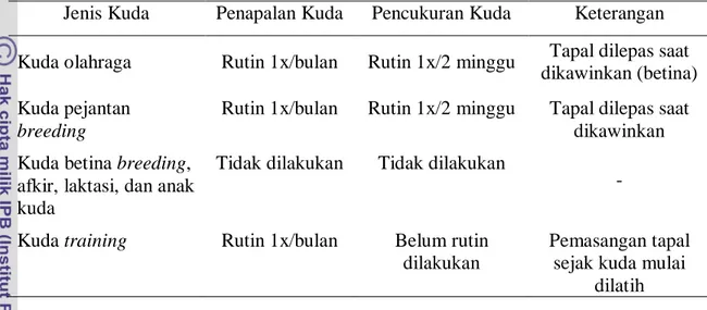 Tabel 4.  Kegiatan Penapalan dan Pencukuran Kuda 