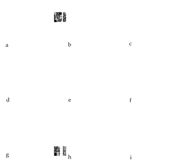 Gambar 1. Foto Mikroskopik Tepung Porang Perlakuan Lama Penggilingan, a) Tepung Penggilingan L0, b) Tepung Penggilingan L1, c) Tepung Penggilingan L2, d) Tepung