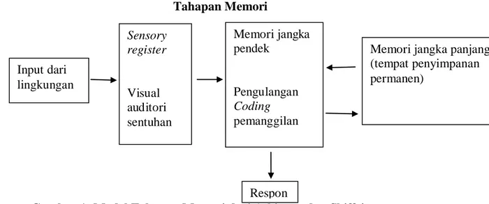 Gambar 1: Model Tahapan Memori dari Atkinson dan Shiffrin Memori jangka  