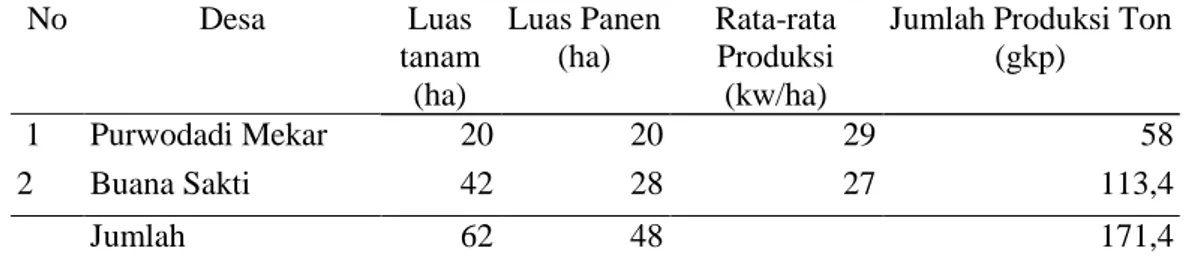 Tabel 6.  Luas Tanaman, luas panen dan rata-rata serta jumlah produksi padi  gogo di Kecamatan Batanghari Kabupaten Lampung Timur 2011 