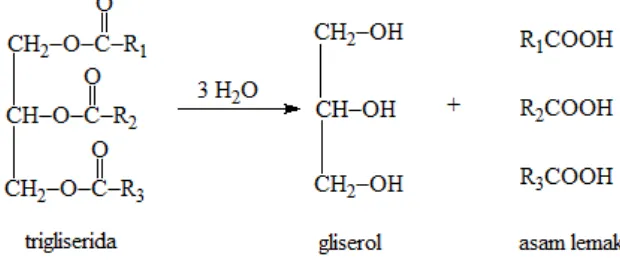 Gambar 1. Reaksi hidrolisis lemak (Budimarwanti, 2008) 