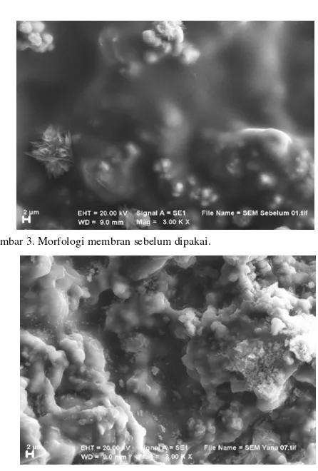 Gambar 4. Morfologi membran setelah dipakai. 